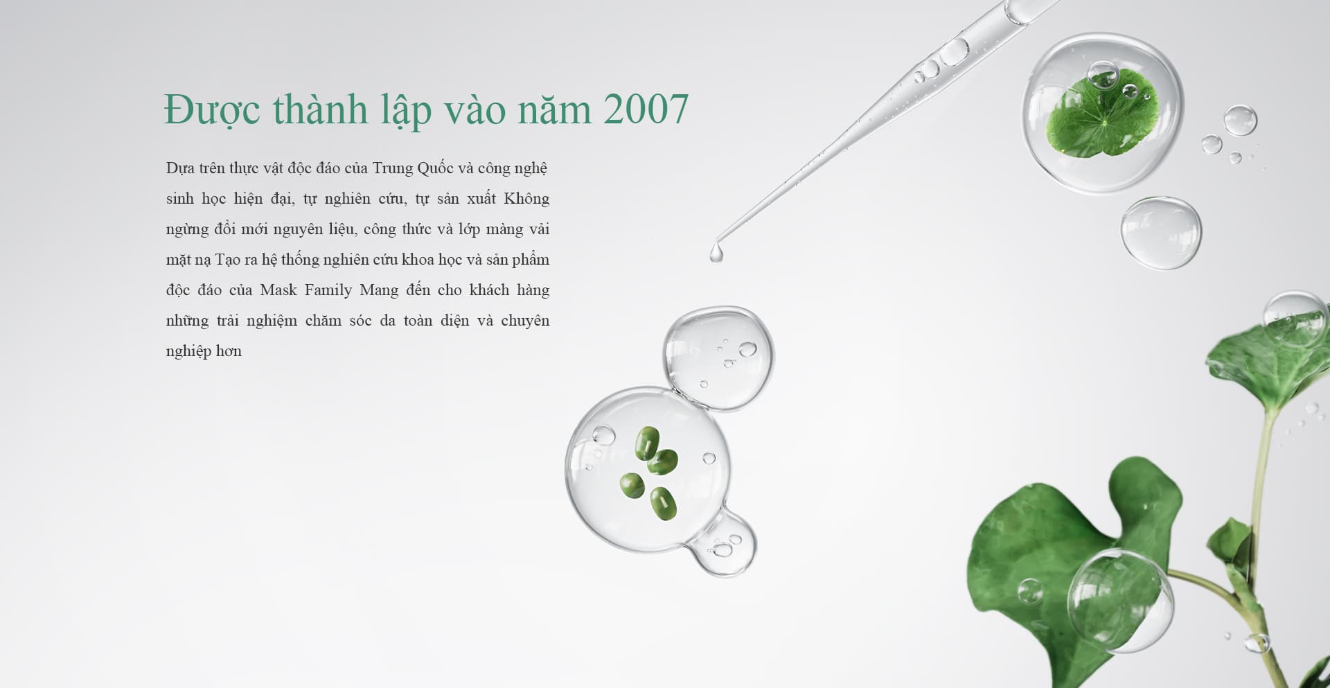 Mặt Nạ Pháp Gia(Mask Family)